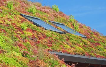 Kircubbin living roof systems