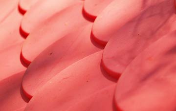 Kircubbin plastic roof costs