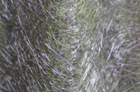 Kircubbin fibreglass roof work